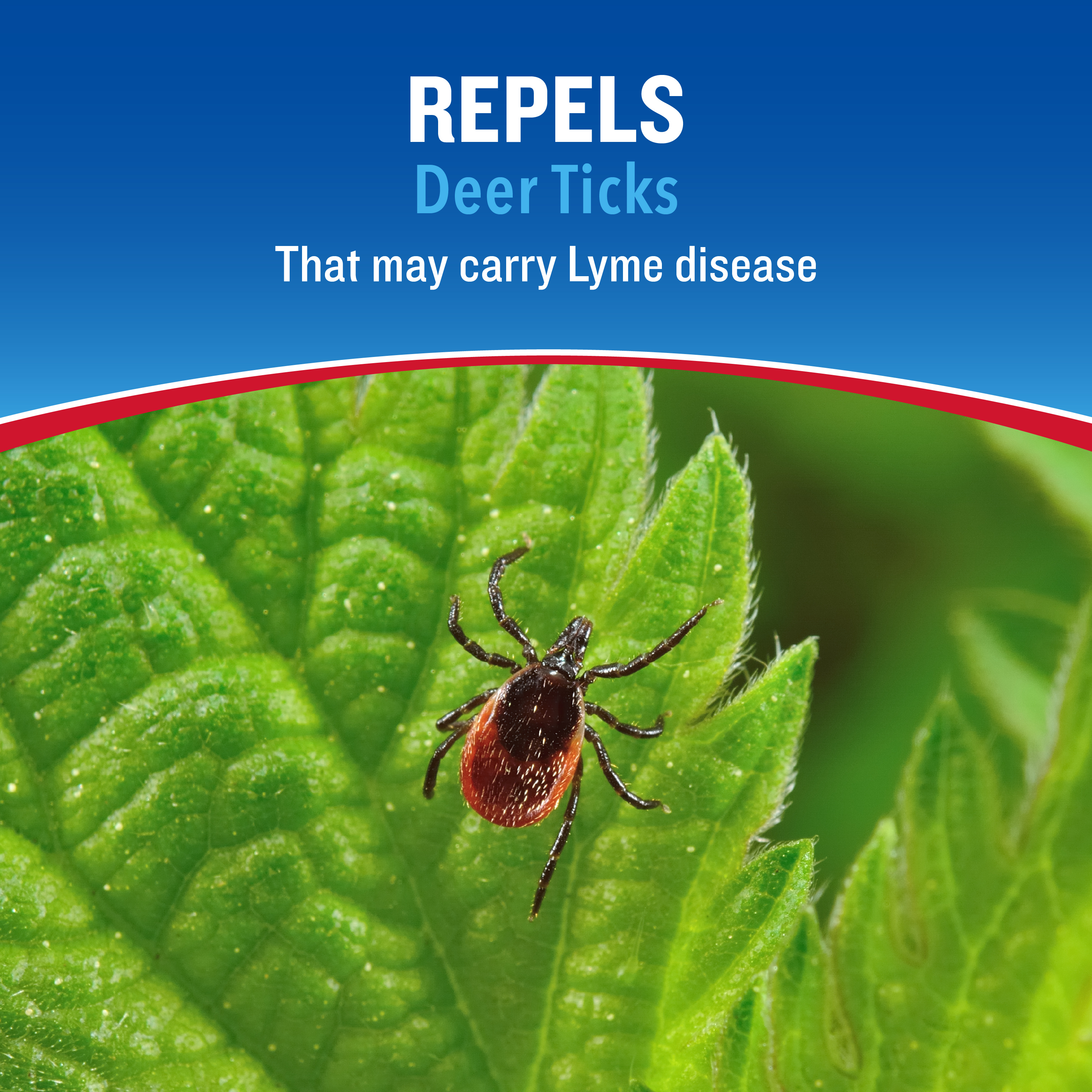 HG-96850 Backwoods Tick Defense Aerosol 6oz Repels Deer Ticks